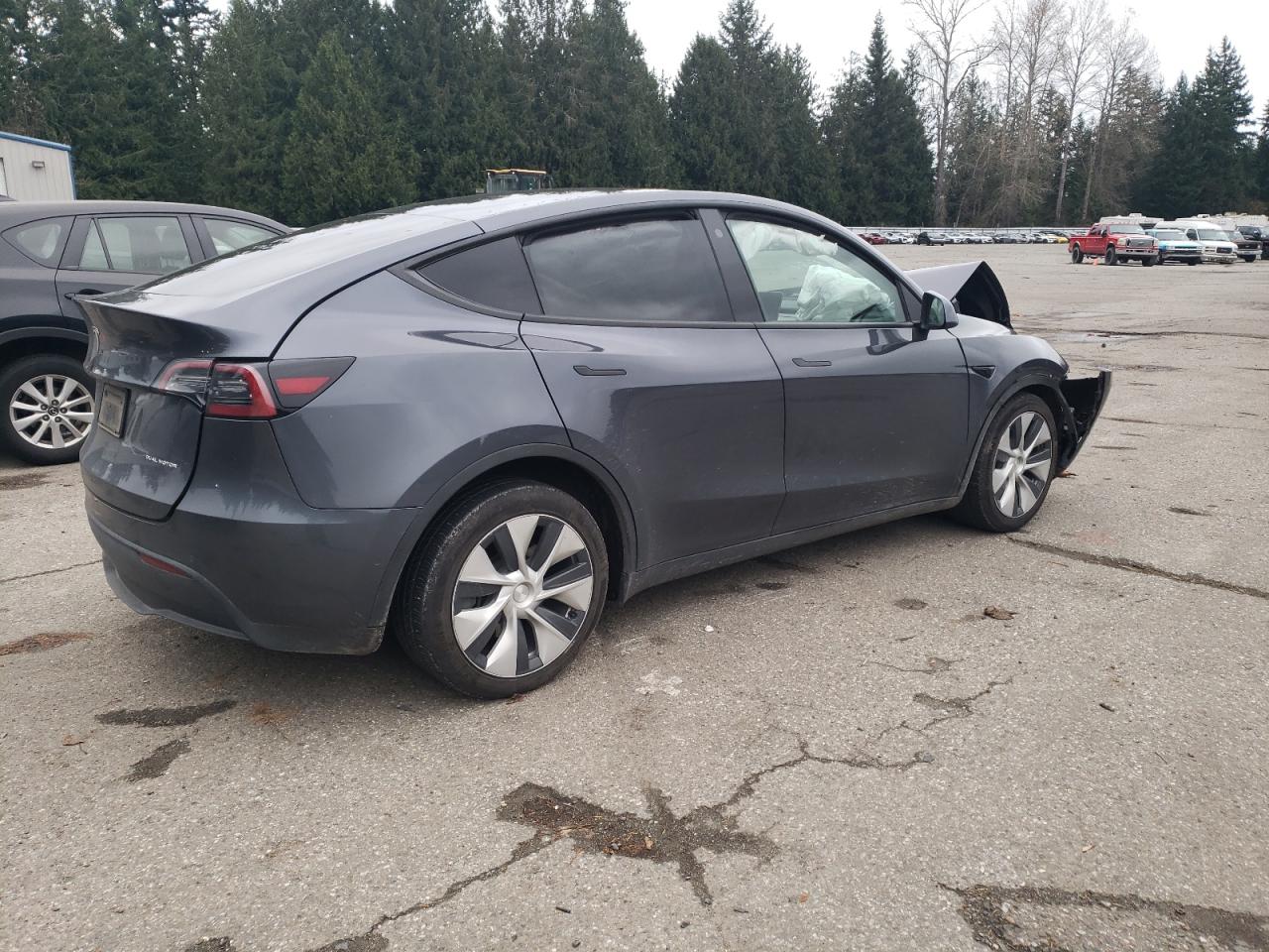 Lot #3030431490 2021 TESLA MODEL Y