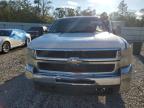 Lot #3009252075 2008 CHEVROLET SILVERADO