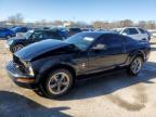 Lot #3006721363 2006 FORD MUSTANG