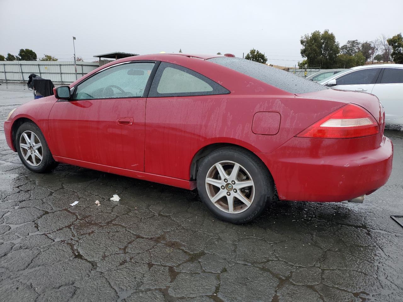 Lot #2988600299 2004 HONDA ACCORD EX