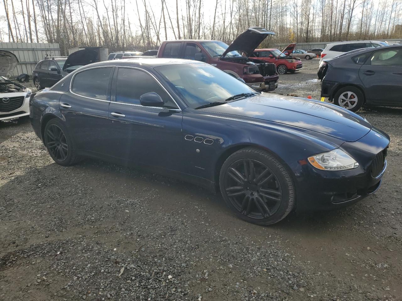 Lot #2986727245 2009 MASERATI QUATTROPOR