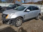 CADILLAC SRX LUXURY photo