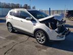 Lot #3024654609 2015 FORD ESCAPE TIT