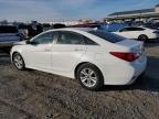 Lot #3023089121 2014 HYUNDAI SONATA GLS