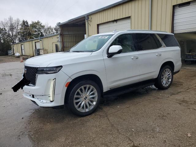 CADILLAC ESCALADE P 2023 white  gas 1GYS4BKLXPR365446 photo #1