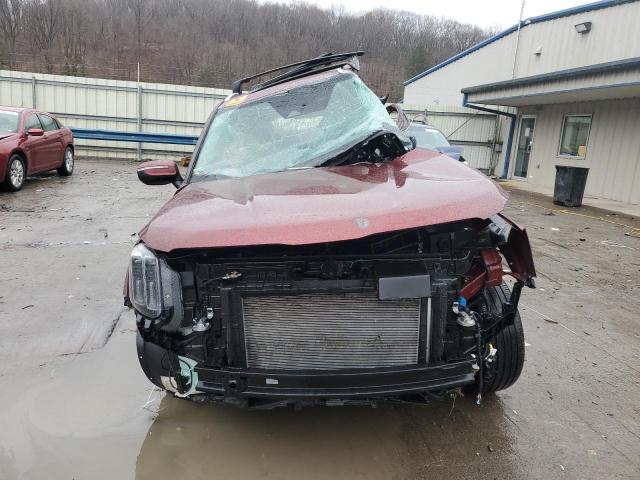 2024 KIA TELLURIDE - 5XYP6DGC6RG437724