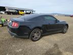 Lot #3025183245 2010 FORD MUSTANG