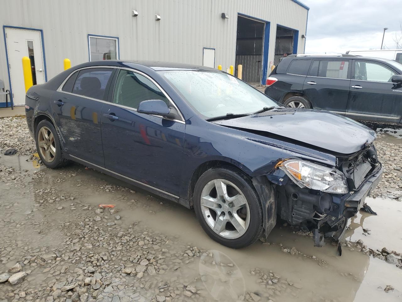 Lot #3042108197 2010 CHEVROLET MALIBU 1LT