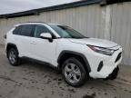 TOYOTA RAV4 XLE photo