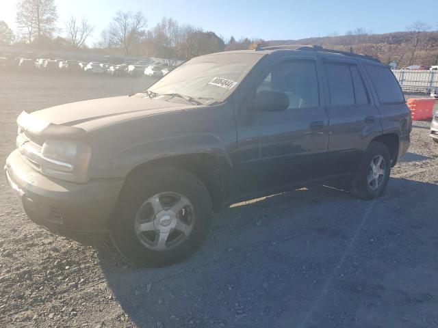 CHEVROLET TRAILBLAZE 2006 charcoal 4dr spor gas 1GNDT13SX62309670 photo #1