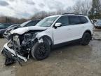 2024 KIA TELLURIDE - 5XYP5DGC0RG508189