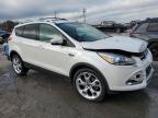 Lot #3023173276 2015 FORD ESCAPE TIT