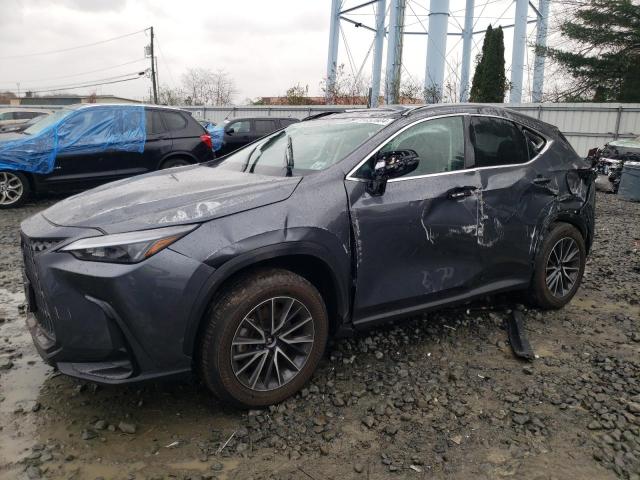 2024 LEXUS NX 350 BAS #3048358724