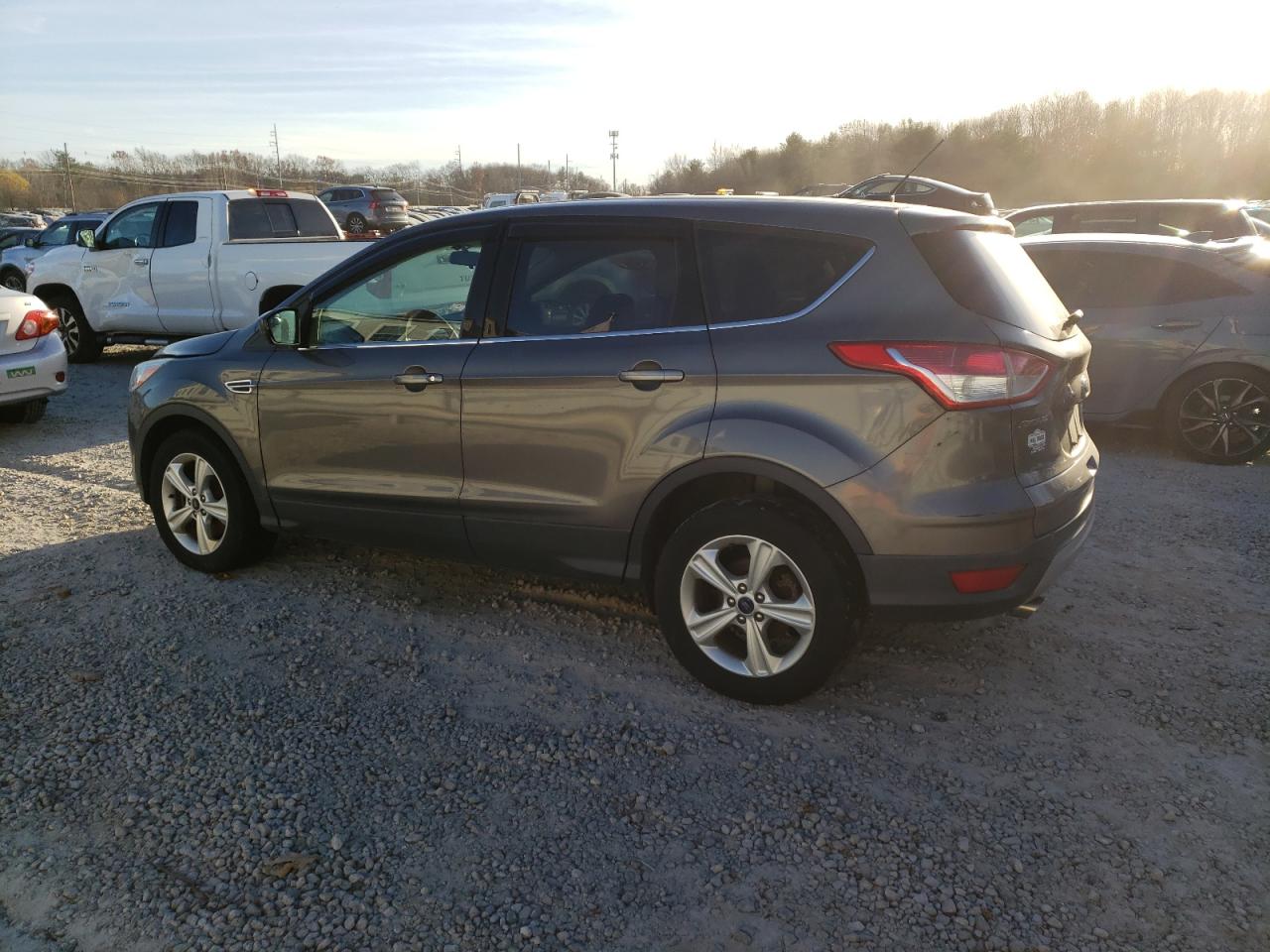 Lot #2988375788 2014 FORD ESCAPE SE