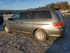 HONDA ODYSSEY LX снимка