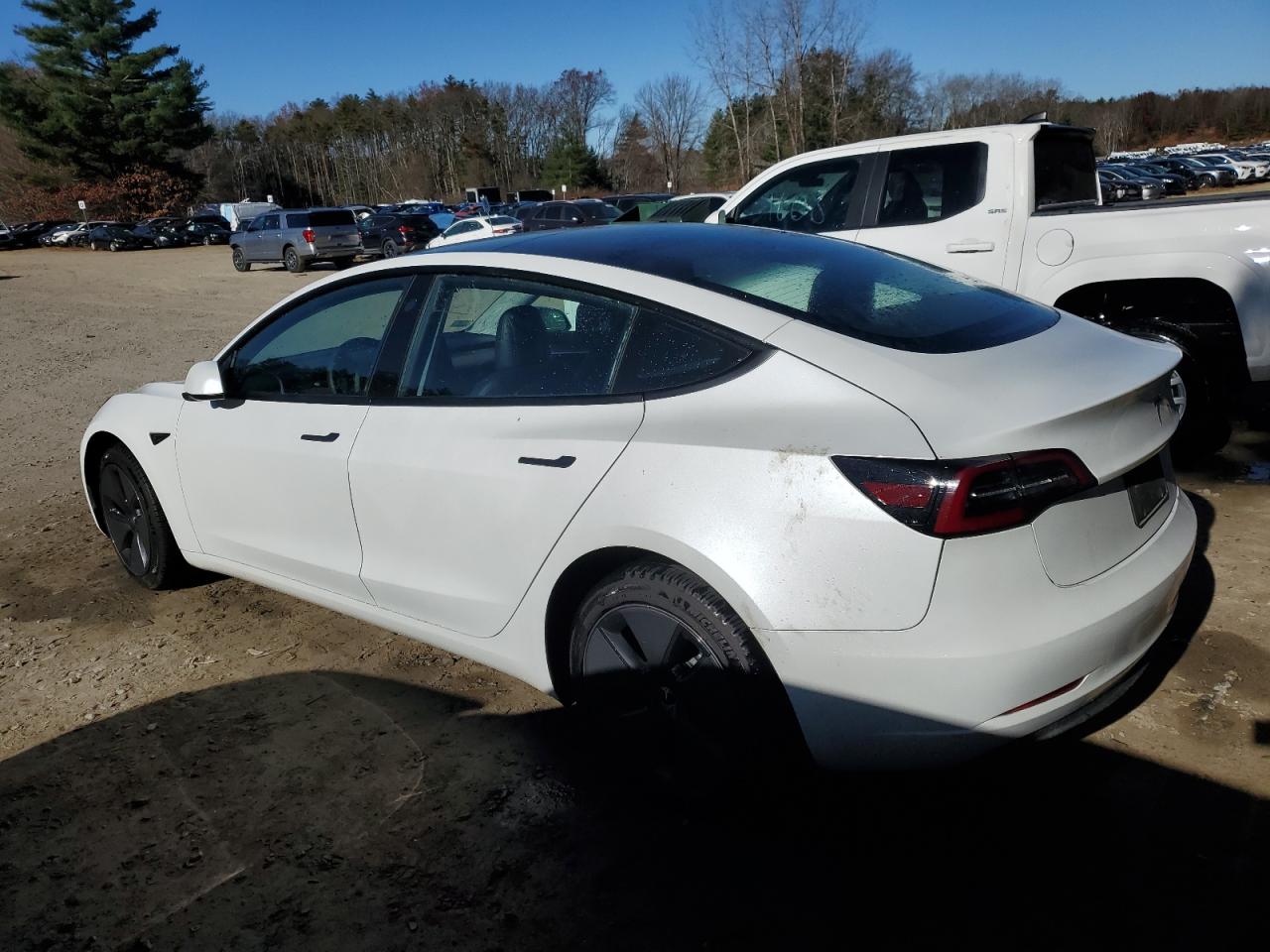 Lot #2978760947 2023 TESLA MODEL 3