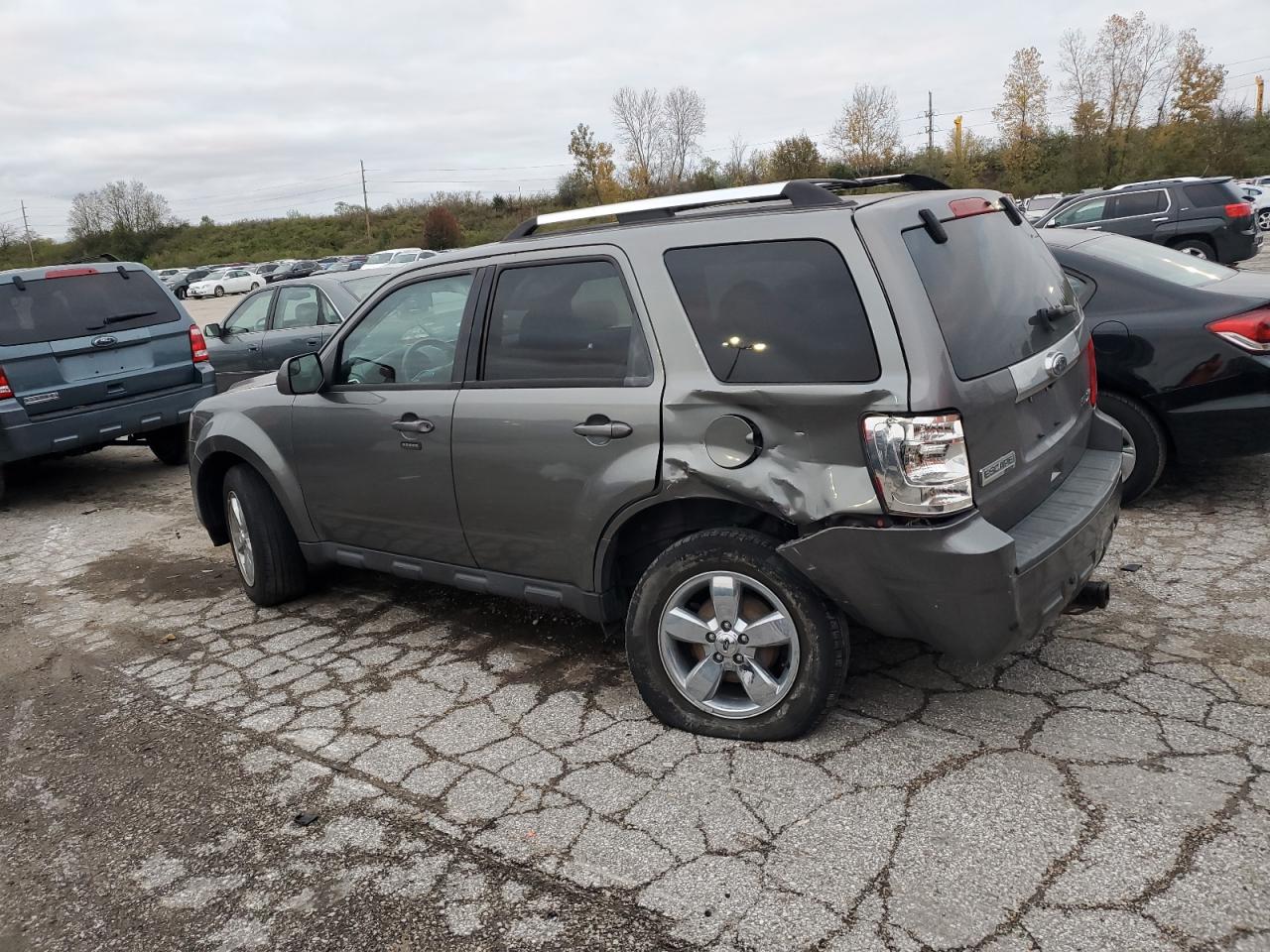 Lot #3024820393 2010 FORD ESCAPE LIM