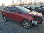 Lot #3024608636 2016 FORD ESCAPE TIT