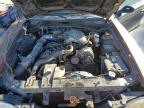 Lot #3006079744 1995 FORD MUSTANG