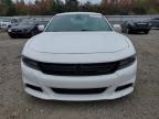 Lot #3023908236 2018 DODGE CHARGER SX