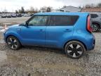 KIA SOUL + photo