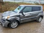 KIA SOUL + photo