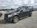 Lot #3024732212 2010 FORD F150 SUPER