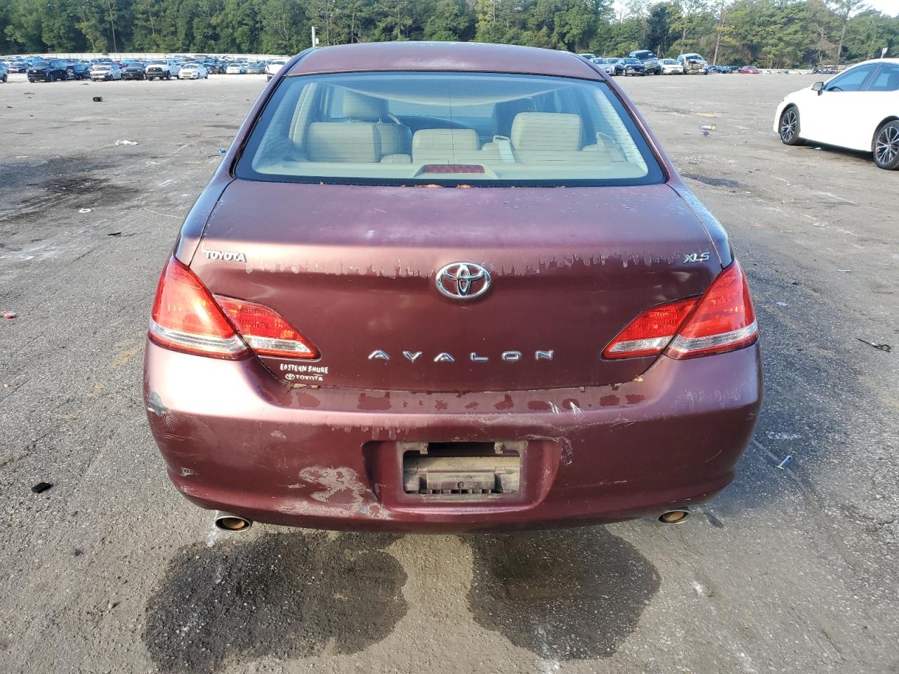 Lot #3038019193 2007 TOYOTA AVALON XL