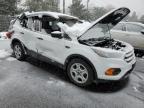 Lot #3024446543 2019 FORD ESCAPE S