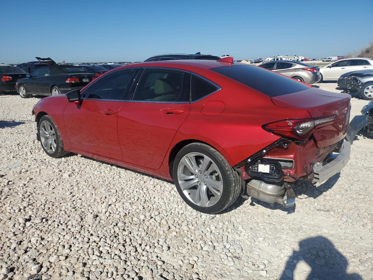 Lot #3031884413 2021 ACURA TLX TECHNO