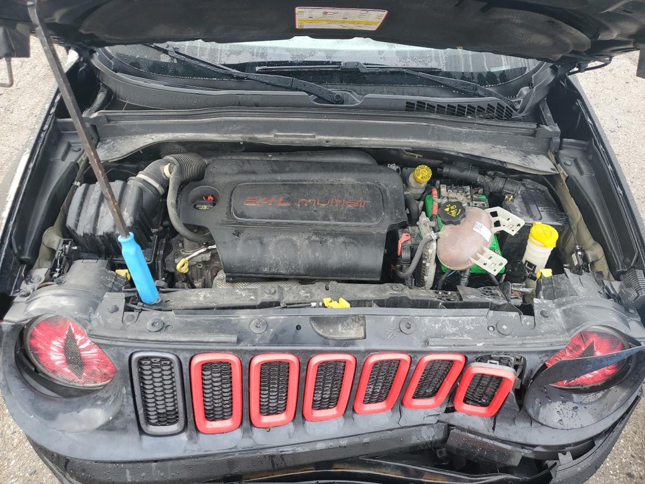 JEEP RENEGADE TRAILHAWK