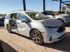 Lot #3026310437 2024 HONDA ODYSSEY TO