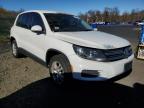 Lot #2962032519 2013 VOLKSWAGEN TIGUAN S