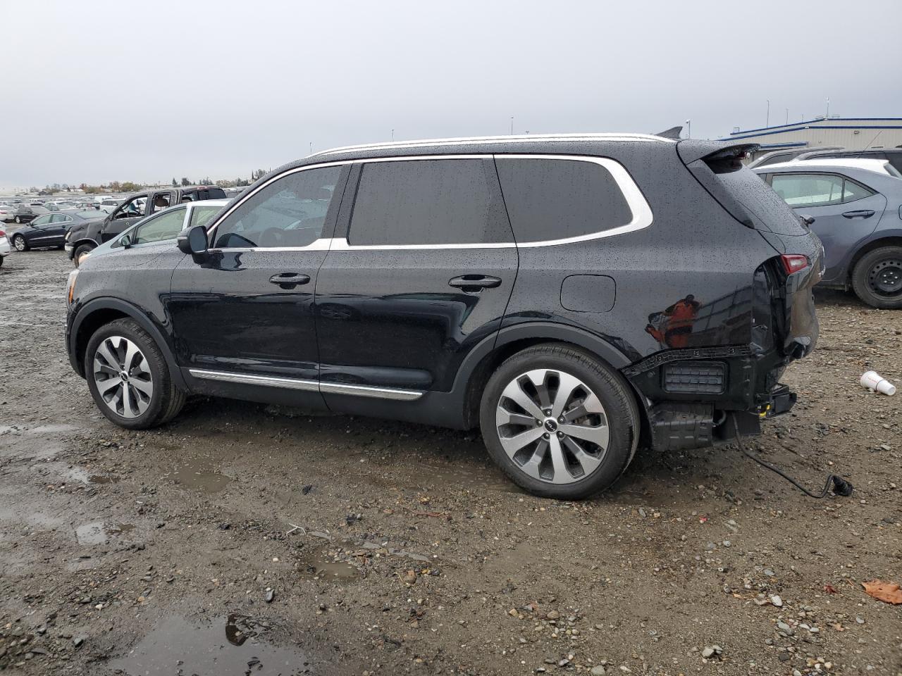 Lot #3028246867 2022 KIA TELLURIDE