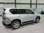 Lot #3024216863 2010 LEXUS GX 460