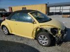 VOLKSWAGEN NEW BEETLE photo