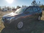 SUBARU FORESTER photo