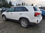 KIA SORENTO LX photo