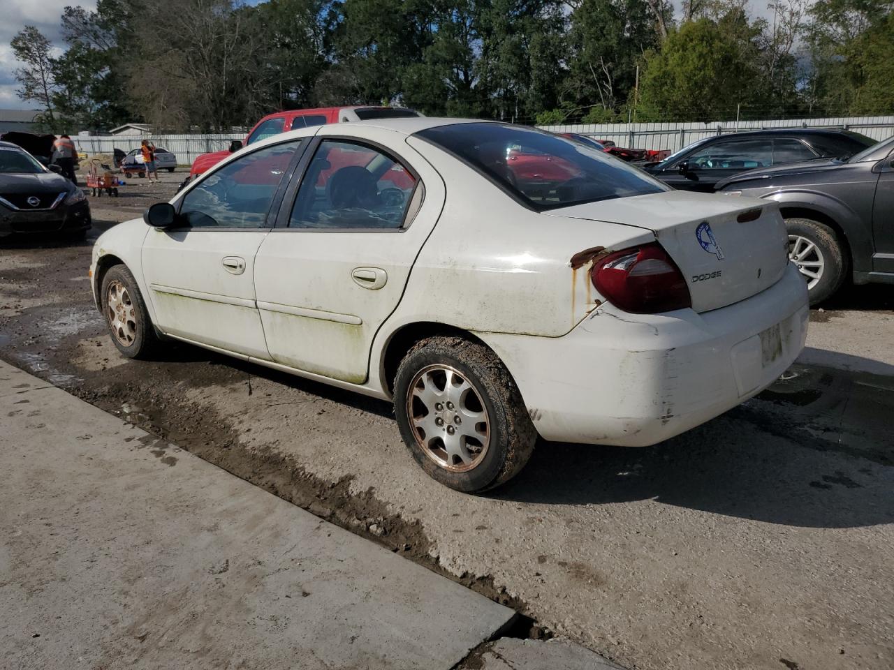 Lot #3034303076 2005 DODGE NEON SXT