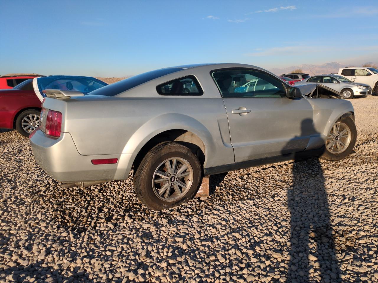 Lot #2987055506 2005 FORD MUSTANG