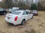 CADILLAC CTS LUXURY photo