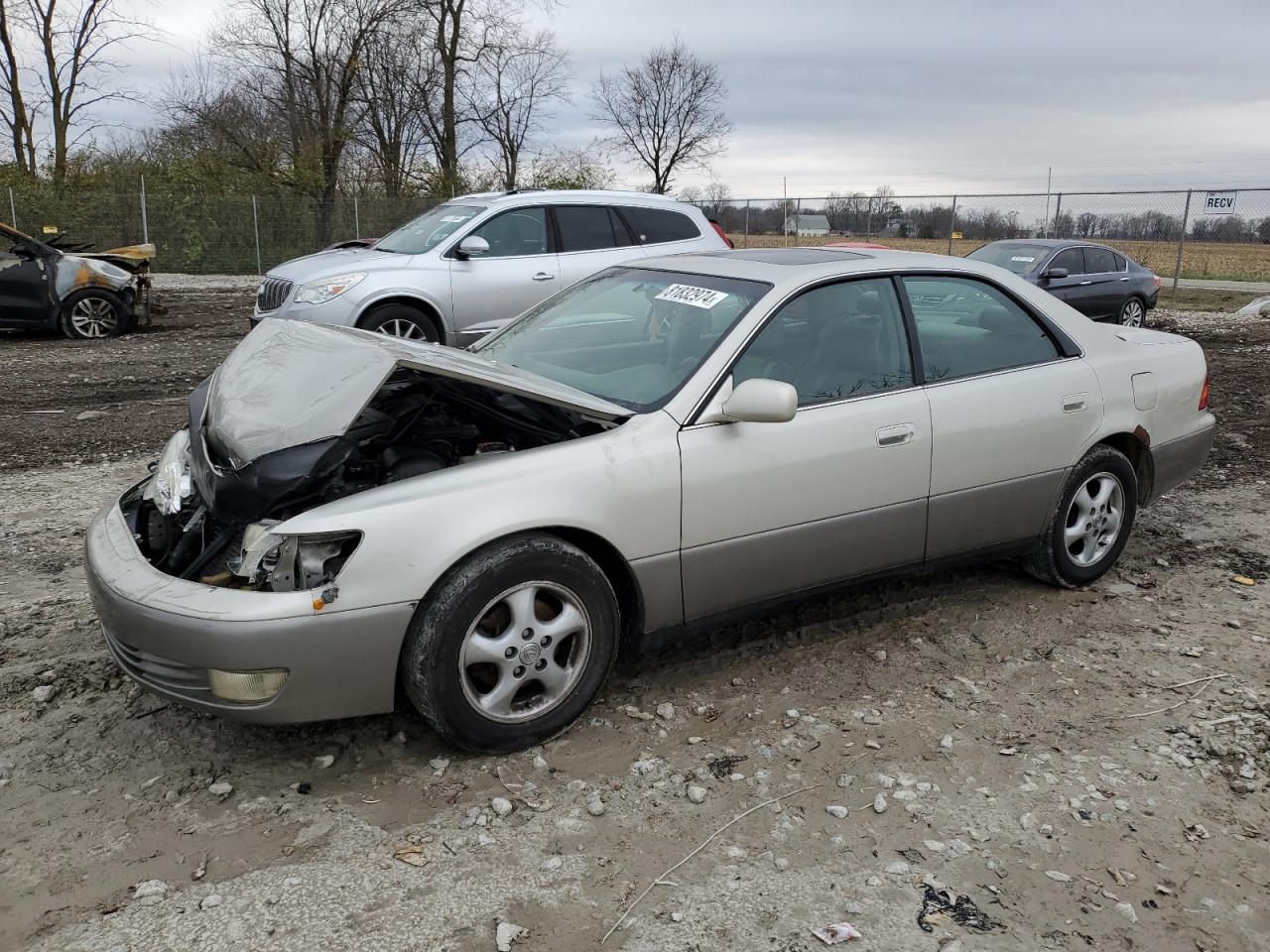 Lot #3024277826 1999 LEXUS ES 300