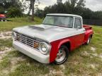 DODGE D100 photo