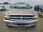 Lot #3024978210 2000 DODGE DAKOTA