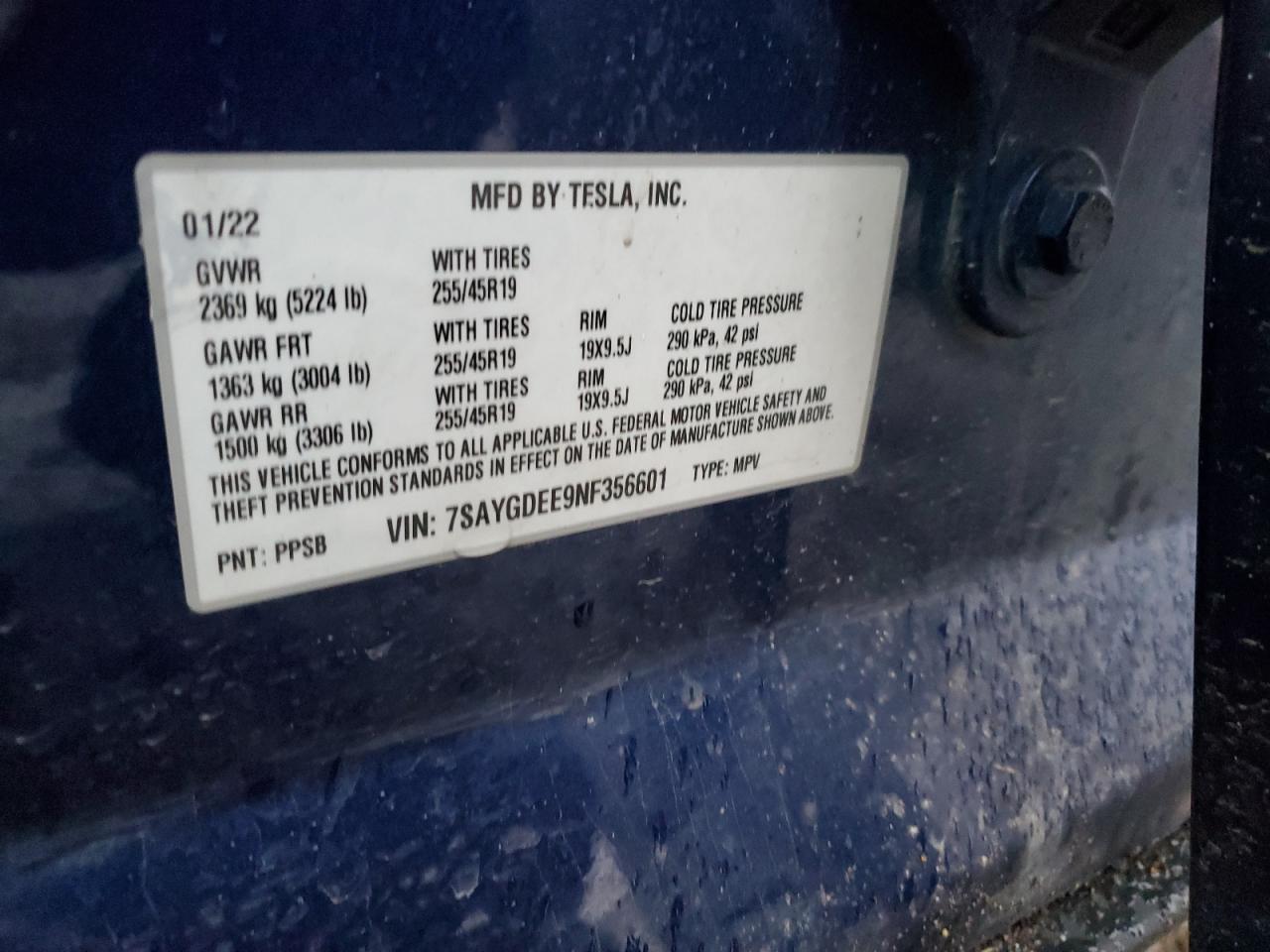 Lot #3004400733 2022 TESLA MODEL Y