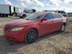 Lot #3023857874 2009 TOYOTA CAMRY BASE