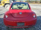 Lot #3024034252 2009 VOLKSWAGEN NEW BEETLE