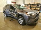 Lot #3024146821 2024 TOYOTA RAV4 XLE