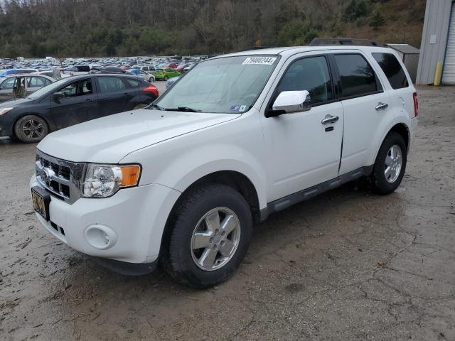 2011 FORD ESCAPE XLT #3024651594