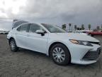 Lot #2979508685 2023 TOYOTA CAMRY LE